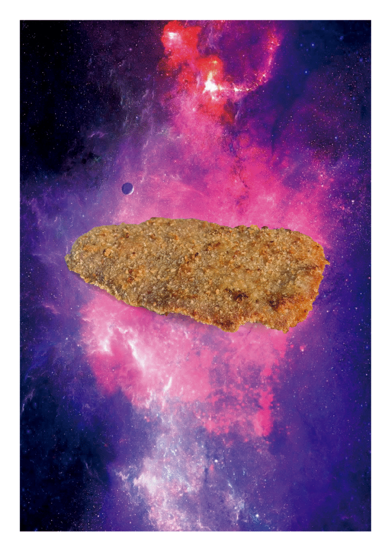 MILANESA 12