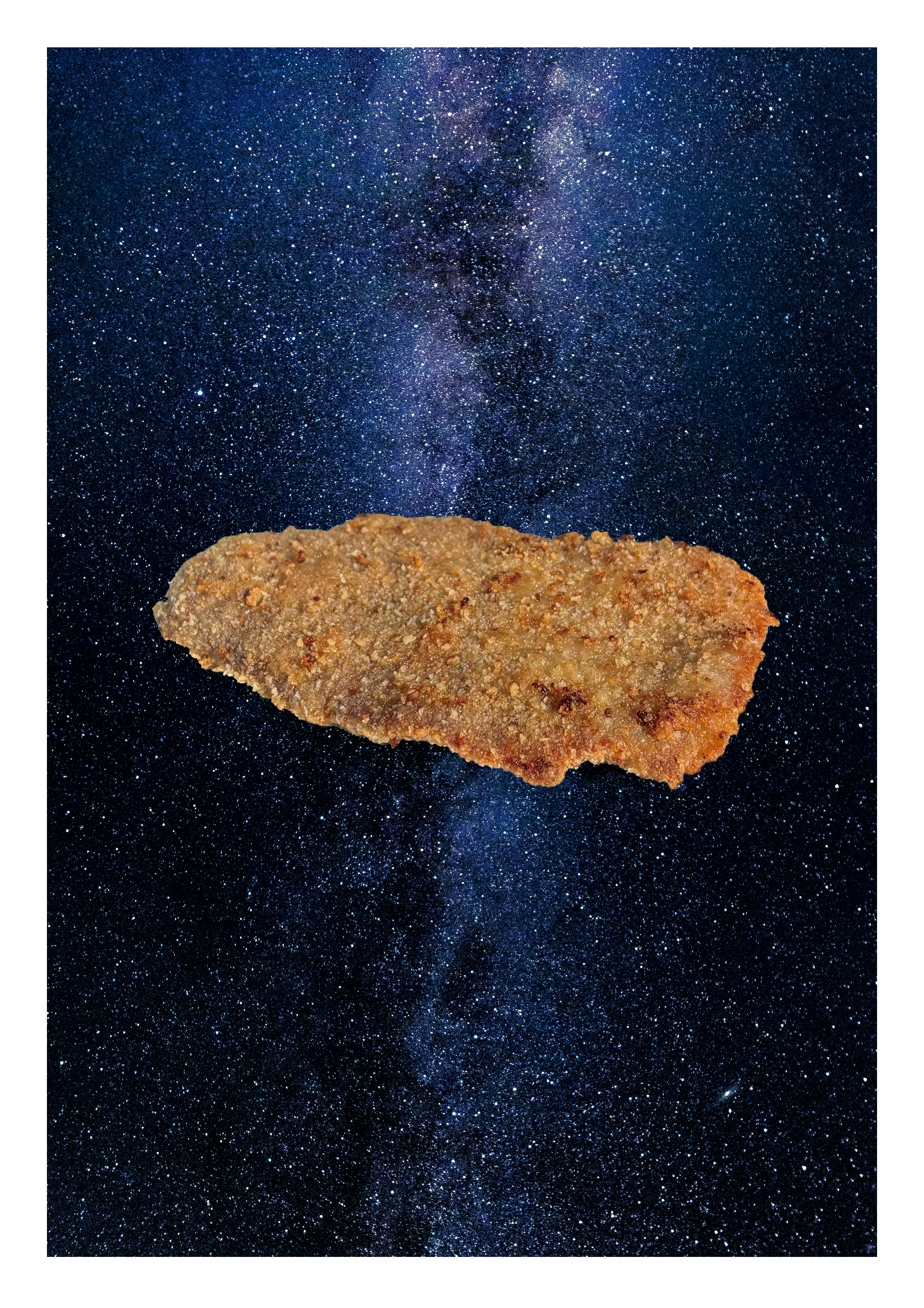 MILANESA 13